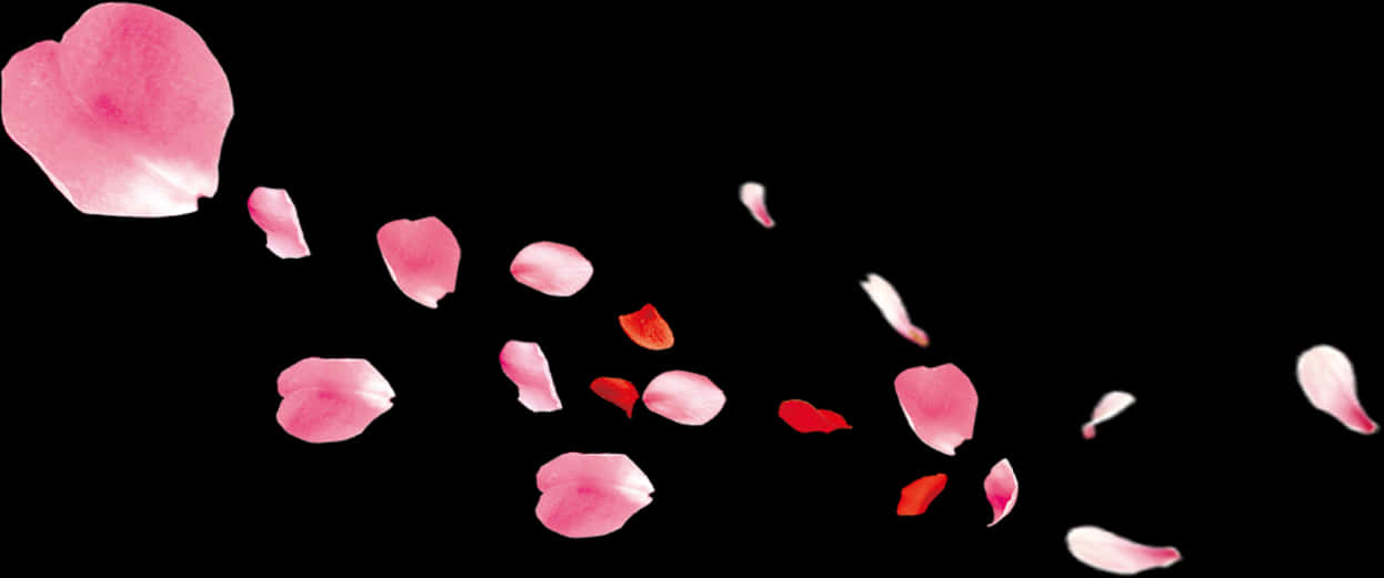 A Group Of Pink Petals Flying In The Air