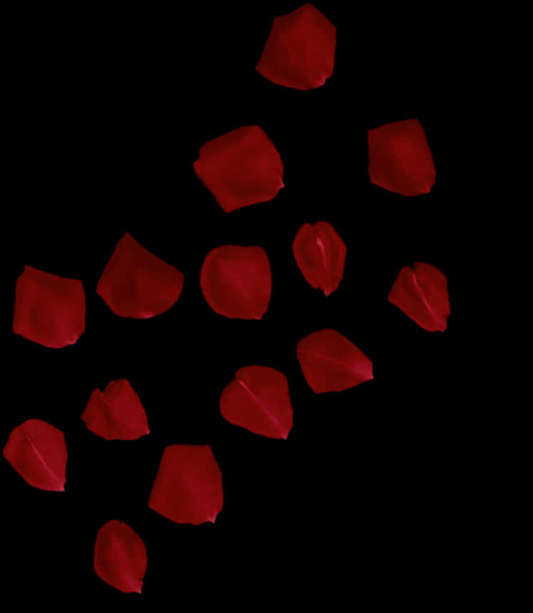 A Group Of Red Rose Petals