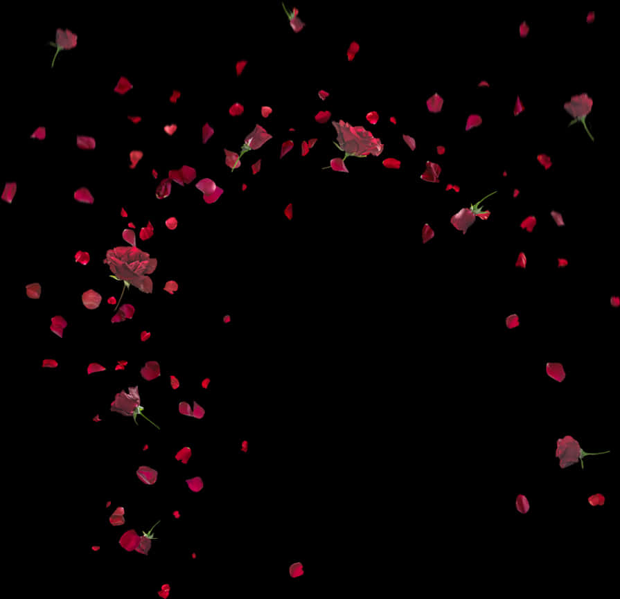 A Group Of Red Rose Petals Flying In The Air
