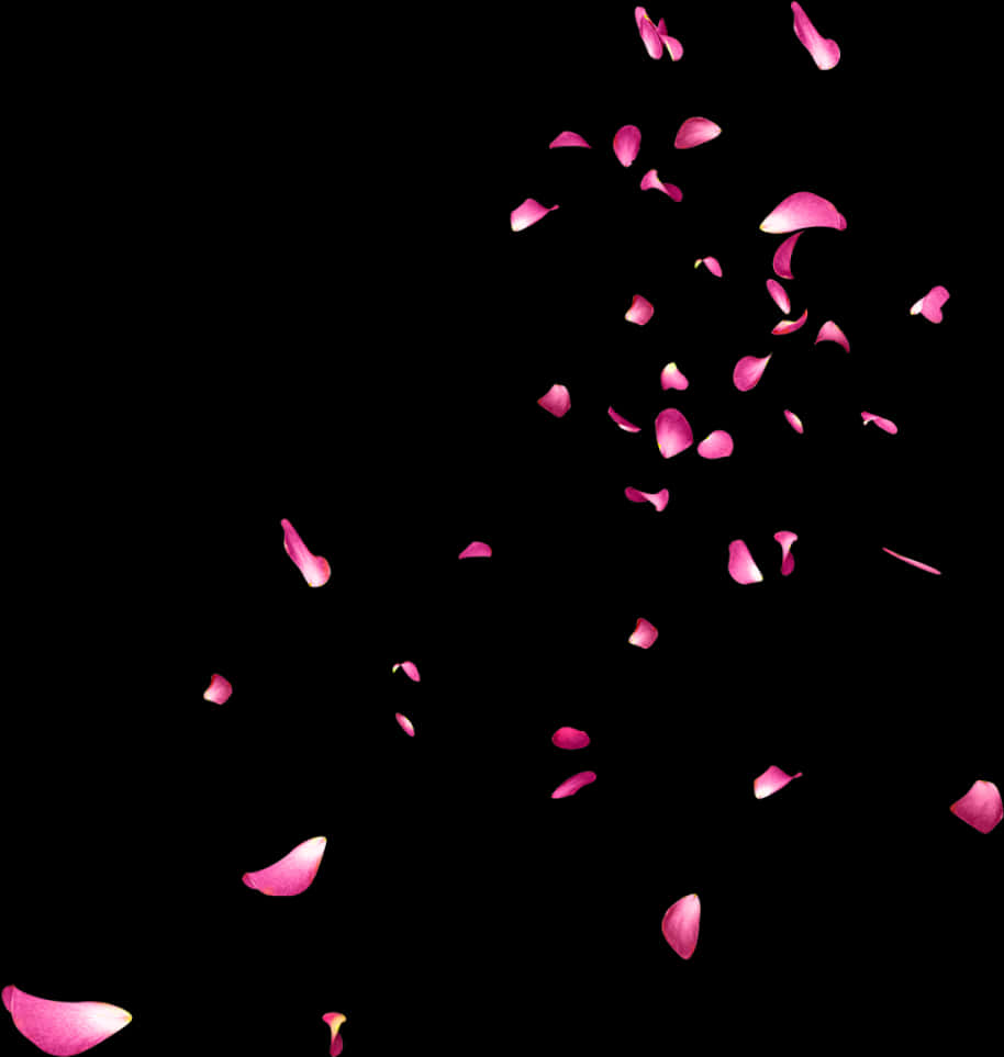 Pink Petals Falling In The Air