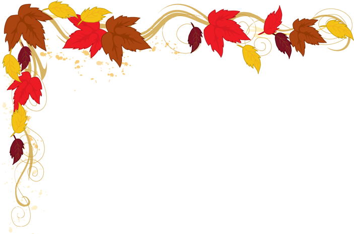 A Black Background With Colorful Leaves