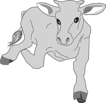 A Grey Cow With White Ears