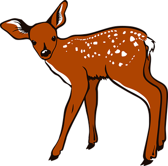 Fawn Png 344 X 340