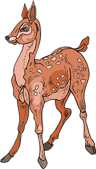 Fawn Png 194 X 340