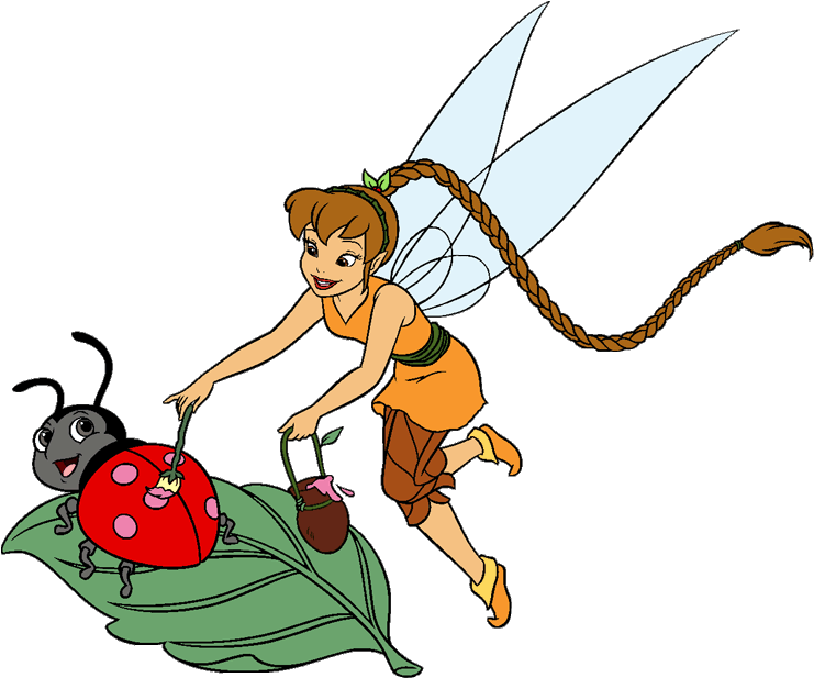 Cartoon Of A Fairy And Ladybug