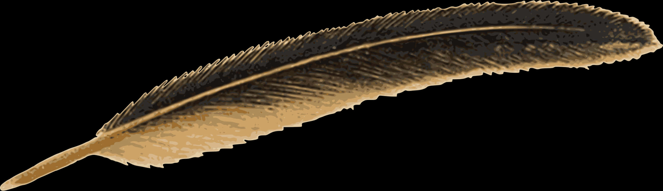Feather Png
