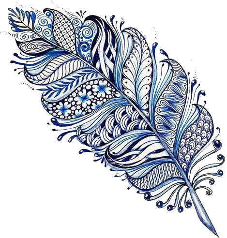 A Blue And White Feather