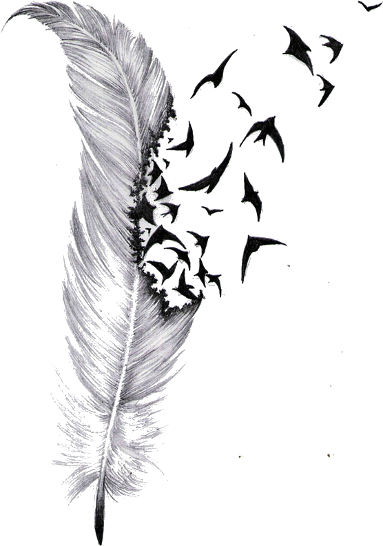 A Feather With Birds Flying