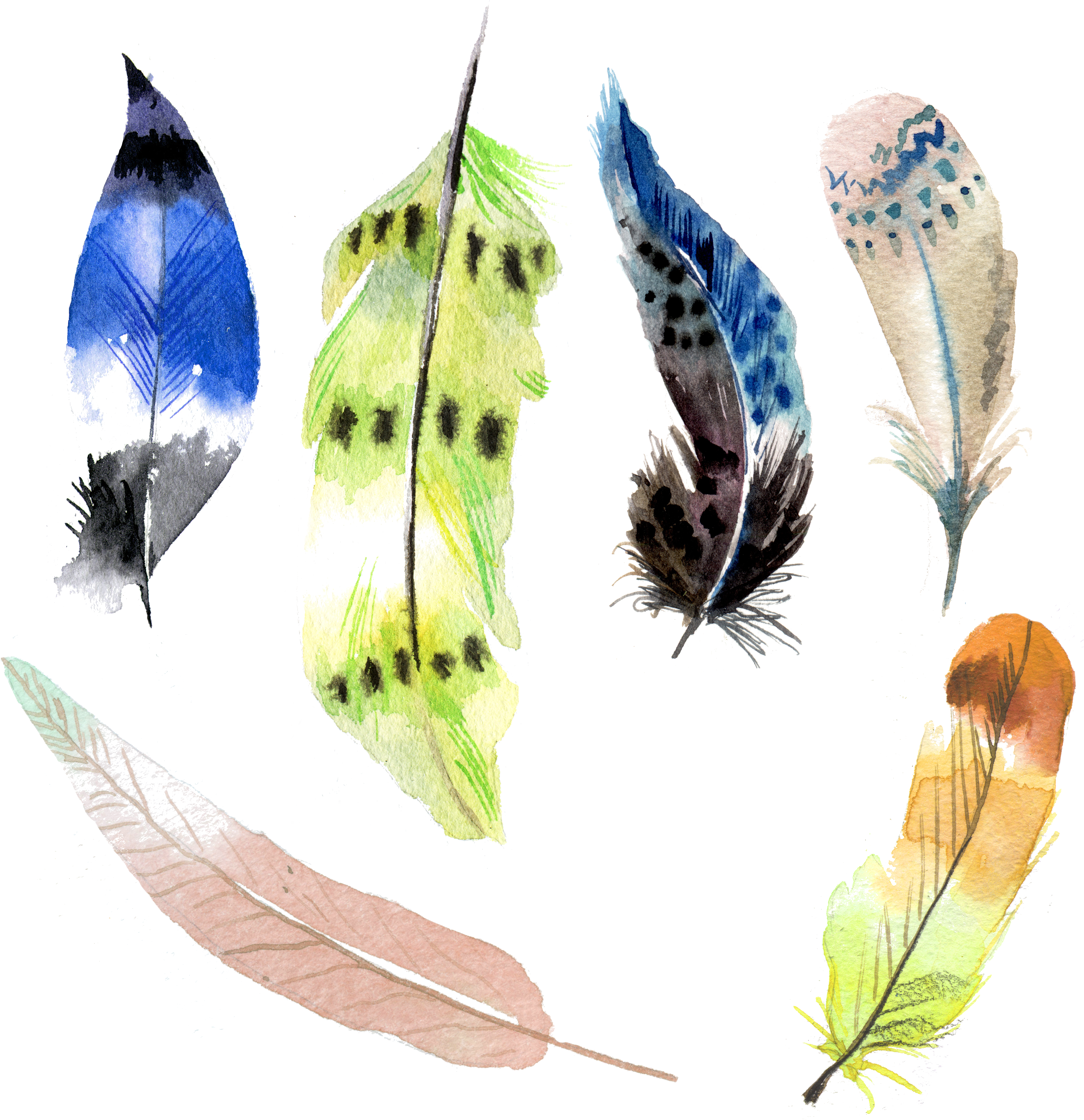 Feather Drawing Png 5564 X 5748
