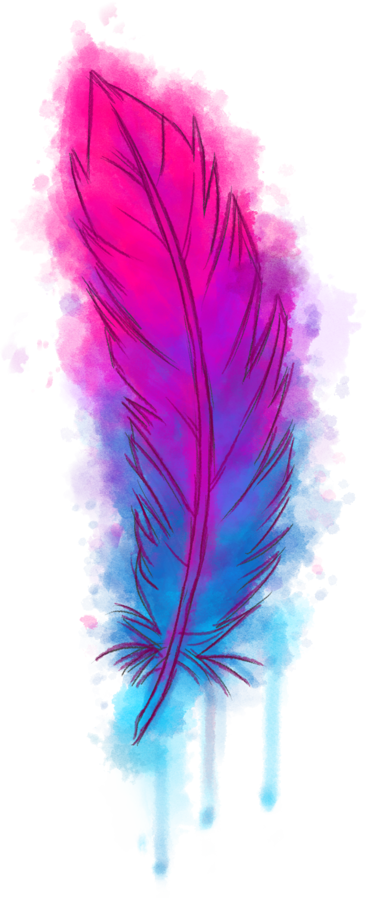 A Colorful Feather On A Black Background