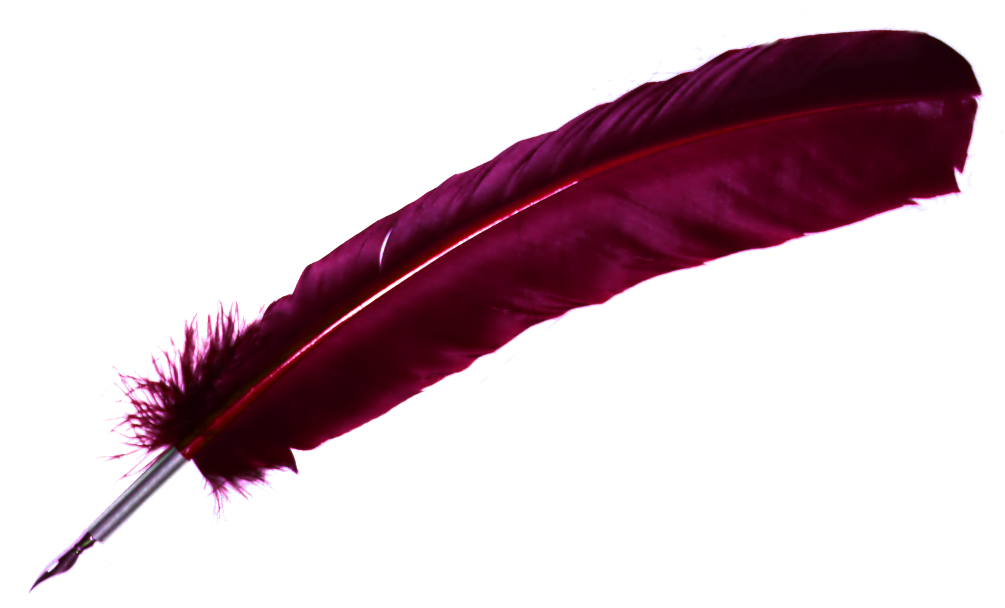 A Purple Feather On A Black Background