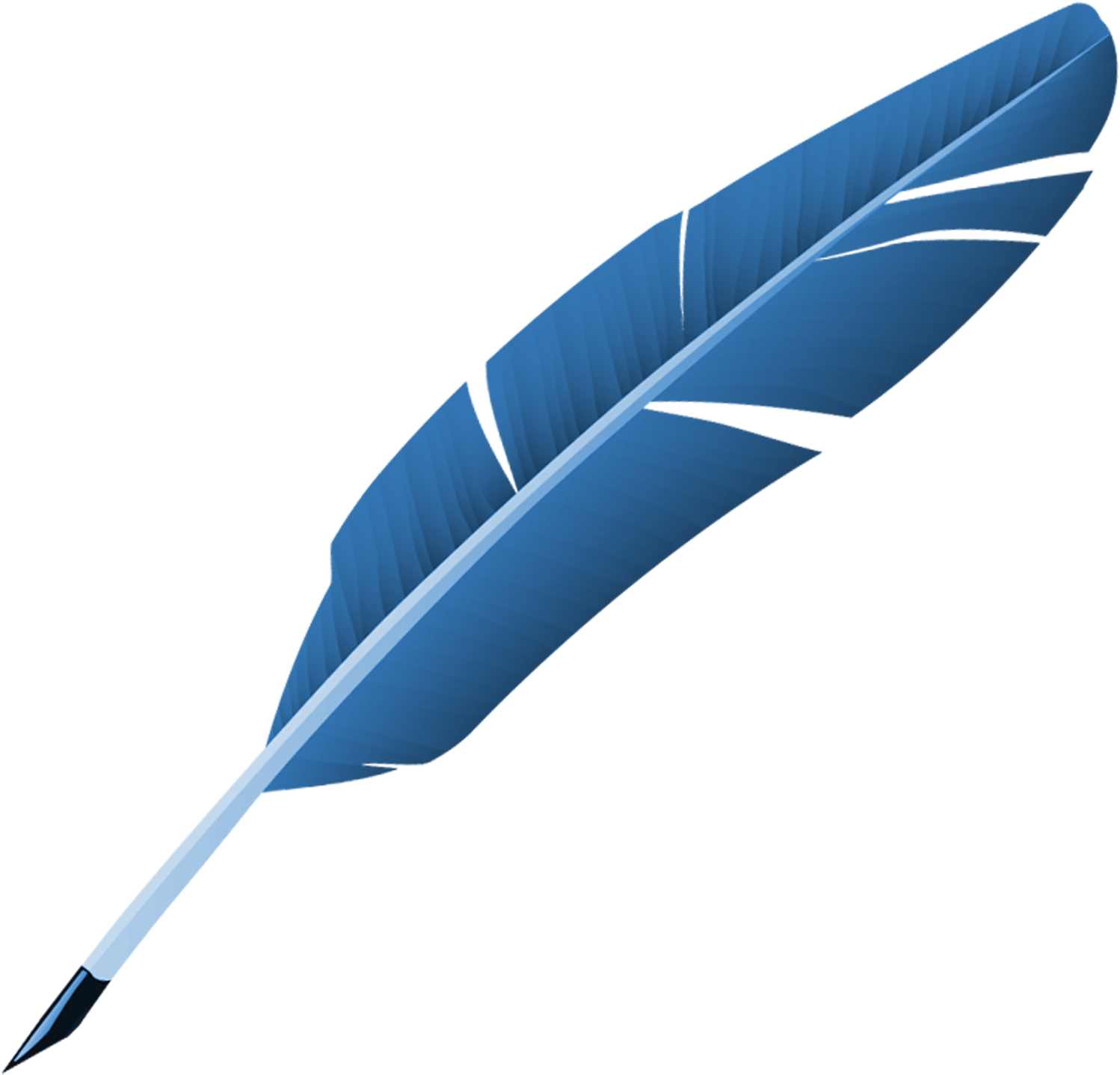 A Blue Feather On A Black Background