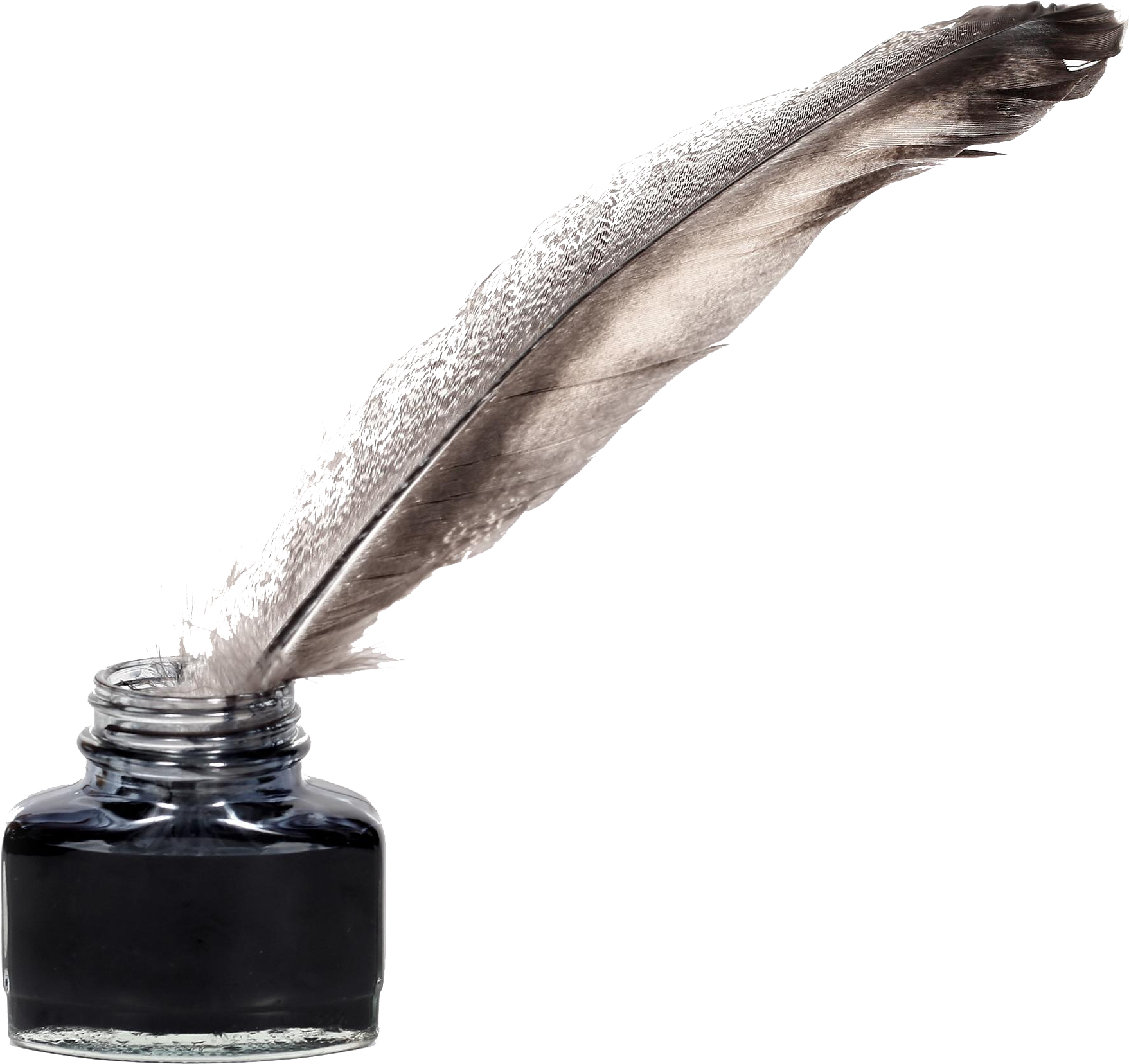 Feather Pen Png 1757 X 1656