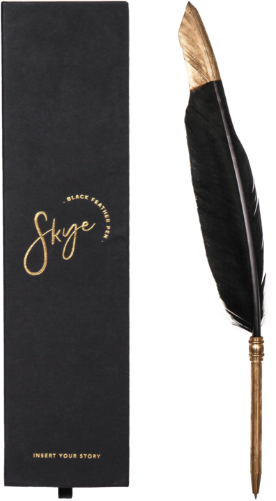 Feather Pen Png 396 X 717