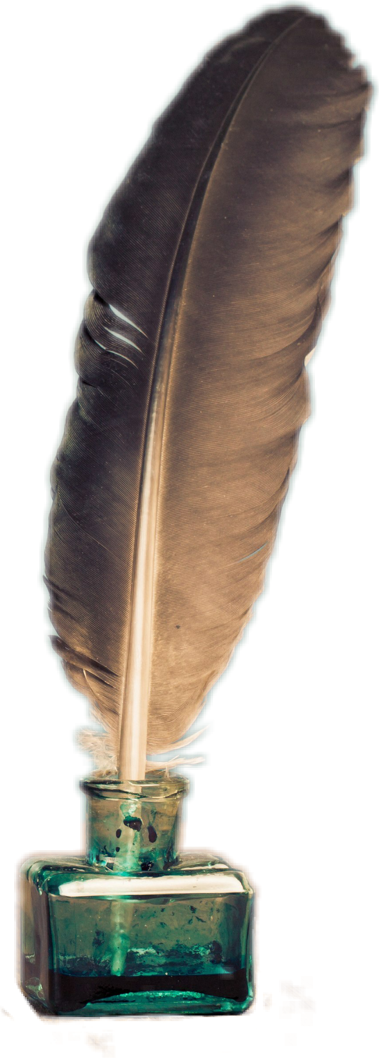 A Close Up Of A Feather