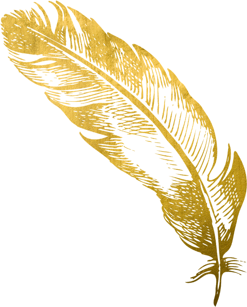 A Gold Feather On A Black Background