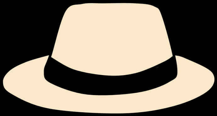 A Black And White Hat