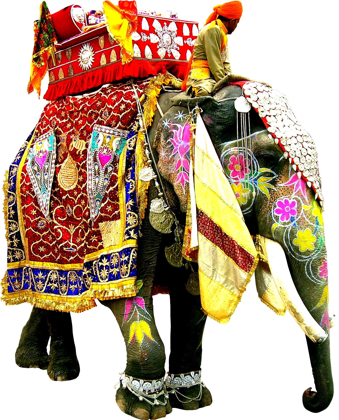 A Person Riding An Elephant
