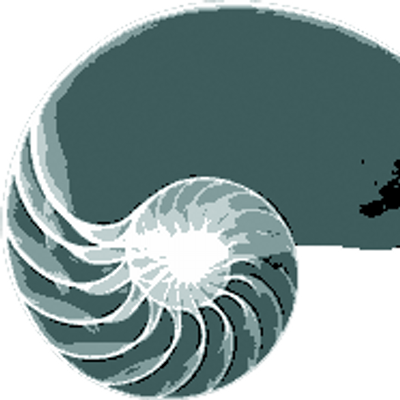 A Nautilus Shell With A Light In The Center