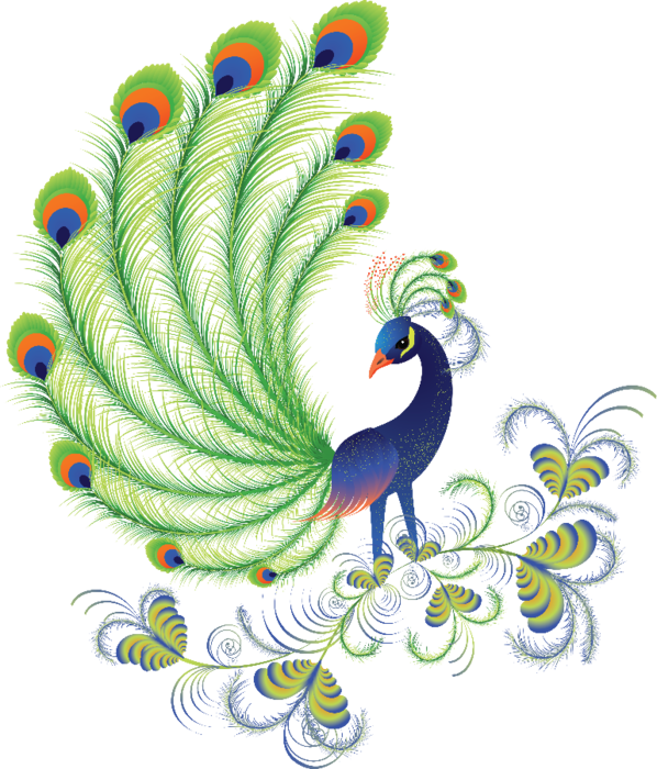 A Peacock With Colorful Feathers
