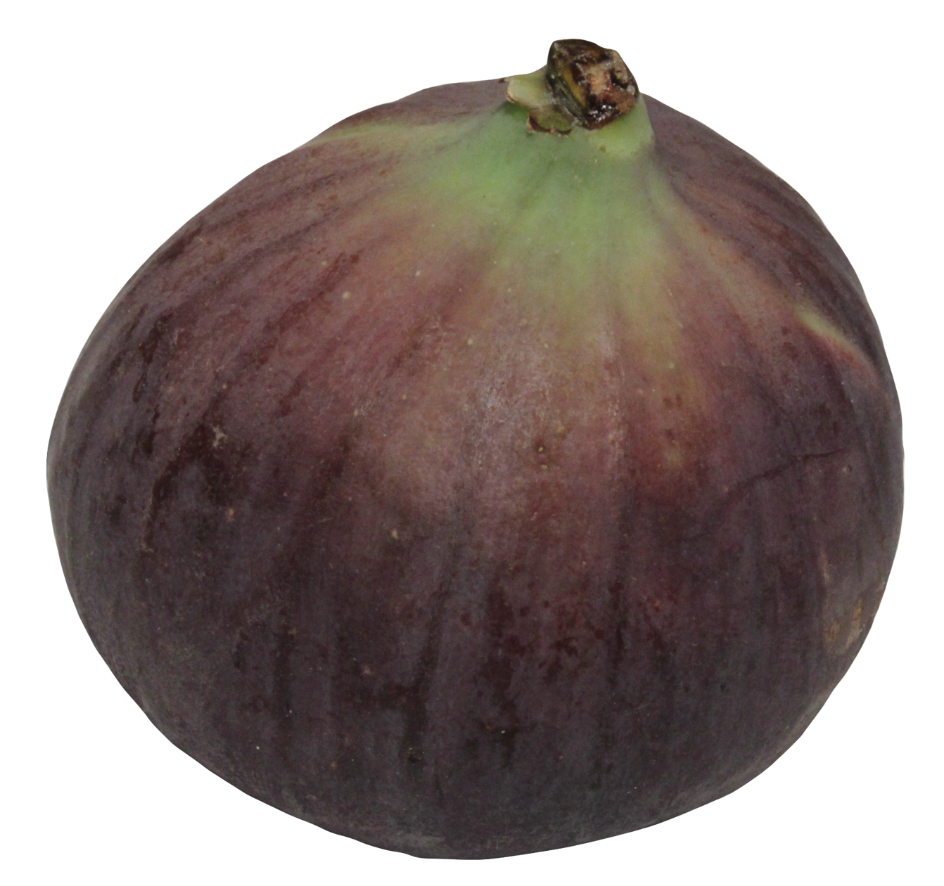 A Close Up Of A Fig