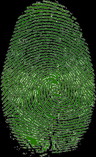 Fingerprint Green