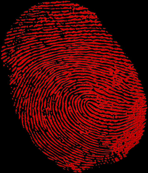 Fingerprint Maroon