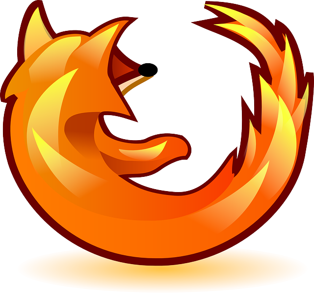 Fire Vector Png 640 X 598
