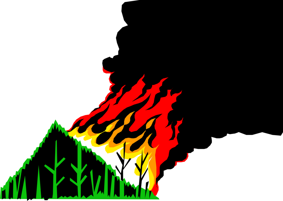 A Drawing Of A Forest Fire