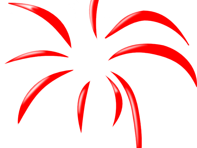 A Red Fireworks In The Dark