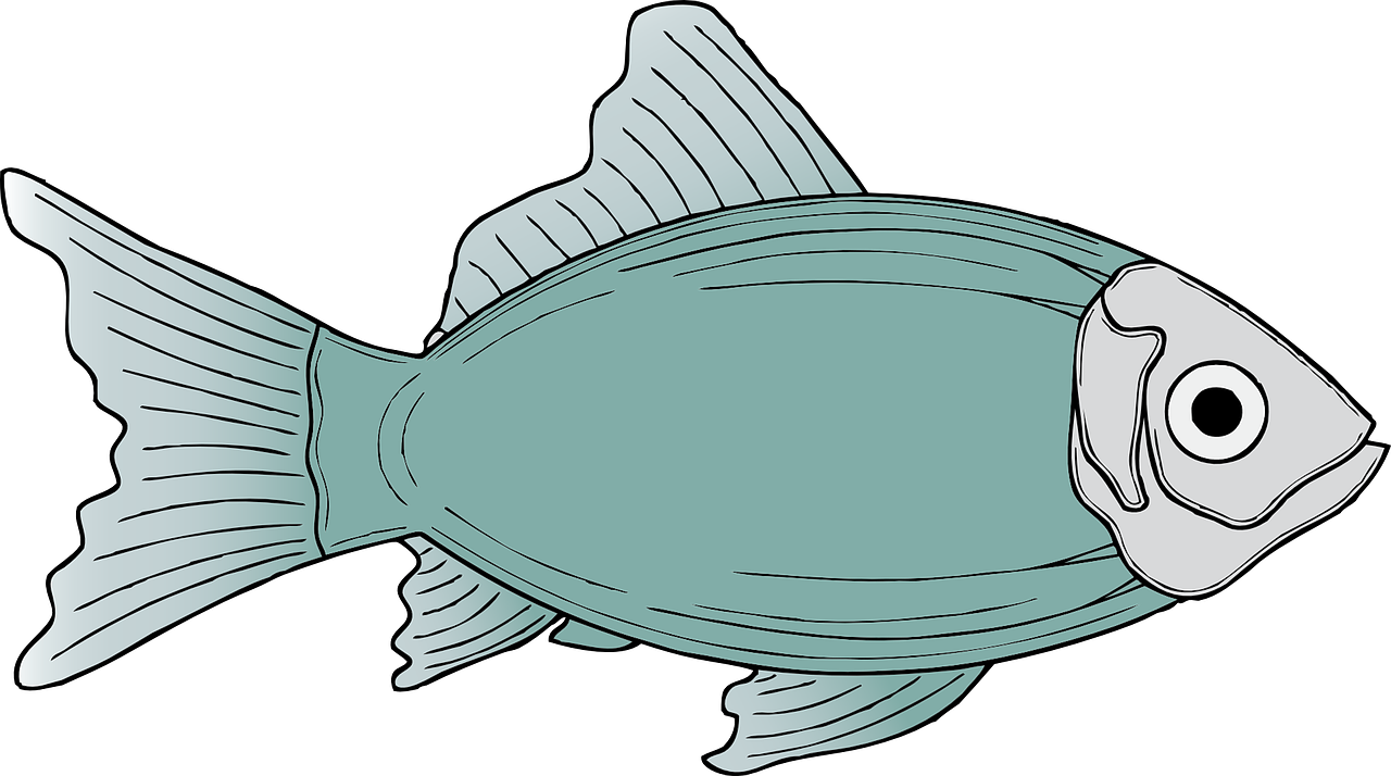 A Drawing Of A Fish