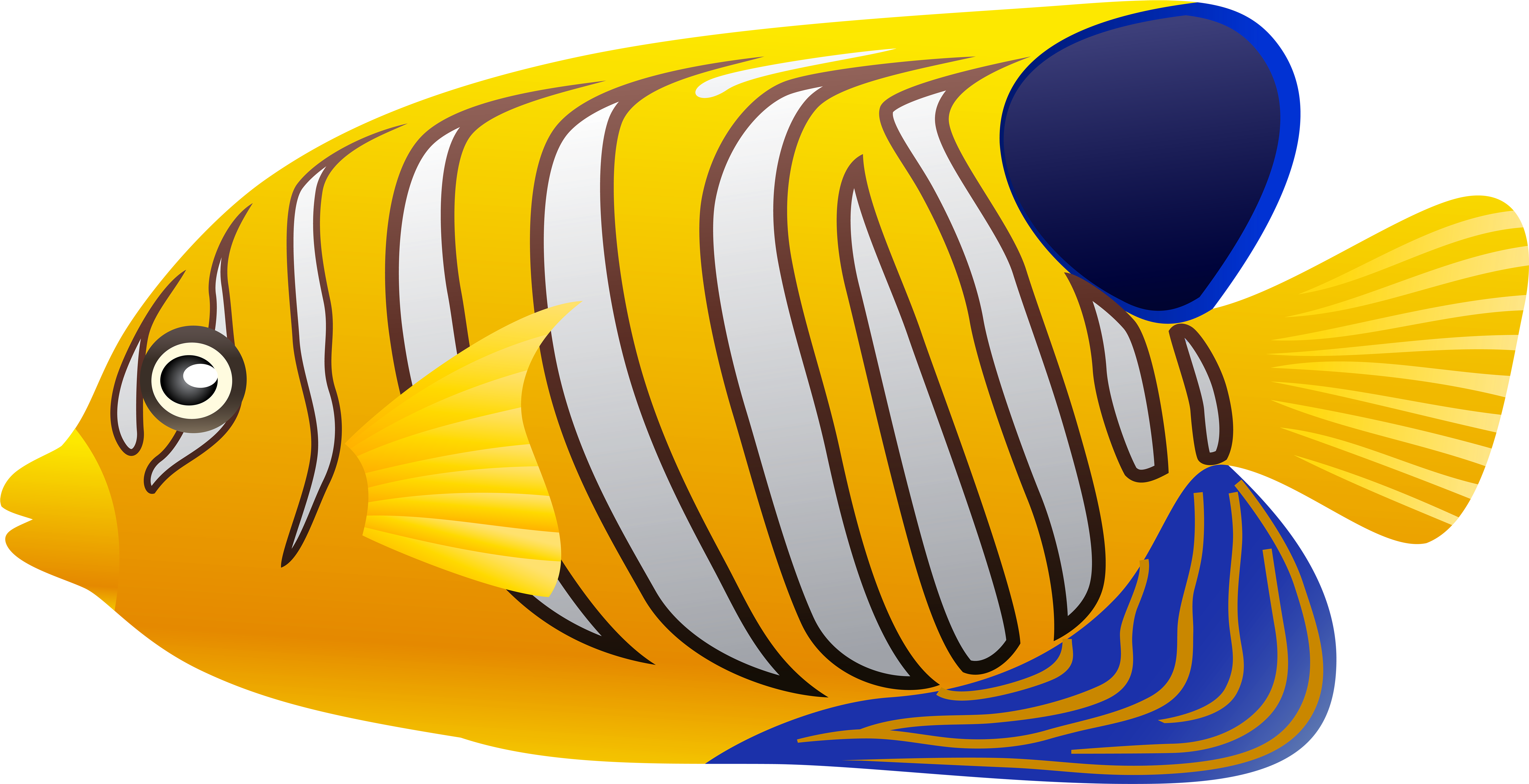 Fish Cliparts Yellow - Coral Reef Fish Fish Clipart, Hd Png Download