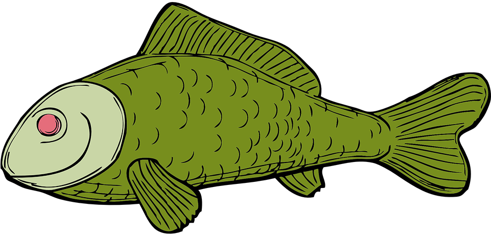 Fish, Green, Aquatic, Fins, Scale - Dead Fish Cartoon No Background, Hd Png Download