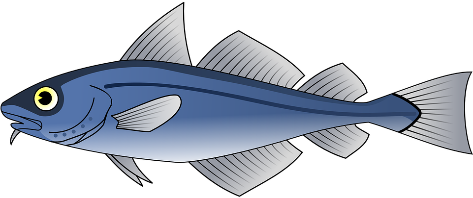 Fish, Tuna, Blue, Sea, Food, Seafood - Fish Respiratory System, Hd Png Download
