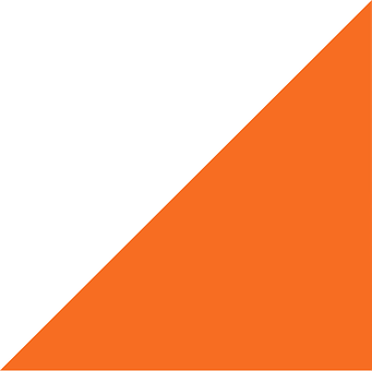 A White And Orange Triangle