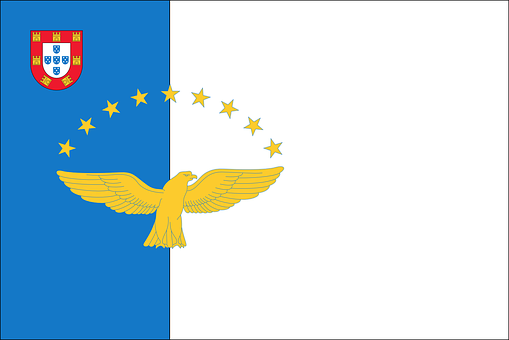 A Flag With A Bird And Stars