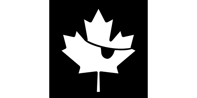 A White Maple Leaf On A Black Background