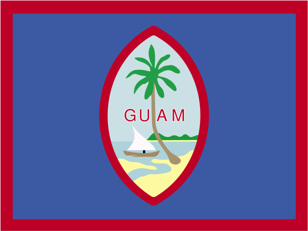 A Flag With A Palm Tree And A Sailboat