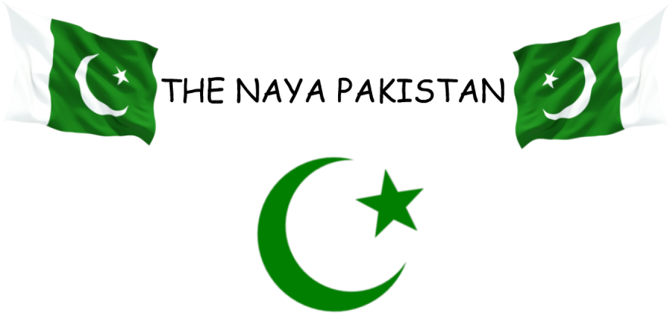 A Green Crescent Moon And Star On A Black Background