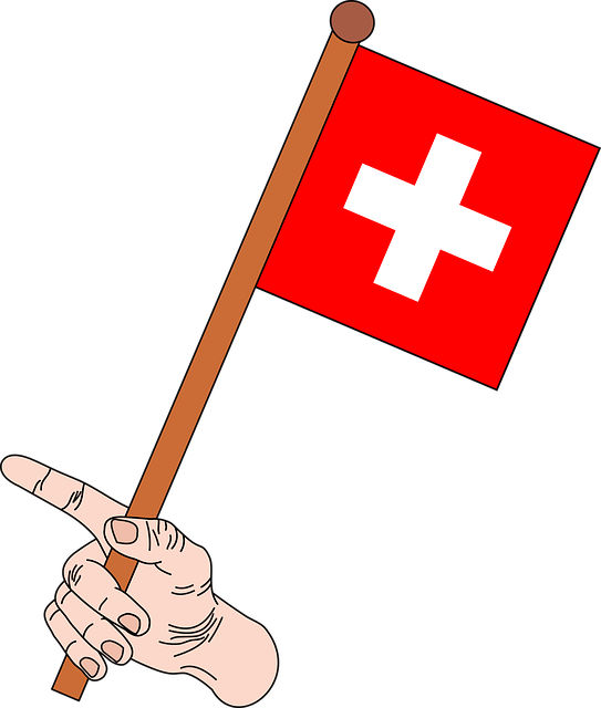 A Hand Holding A Flag