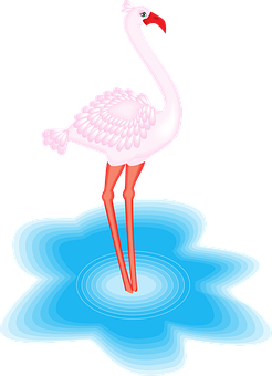 Flamingo Png 246 X 340