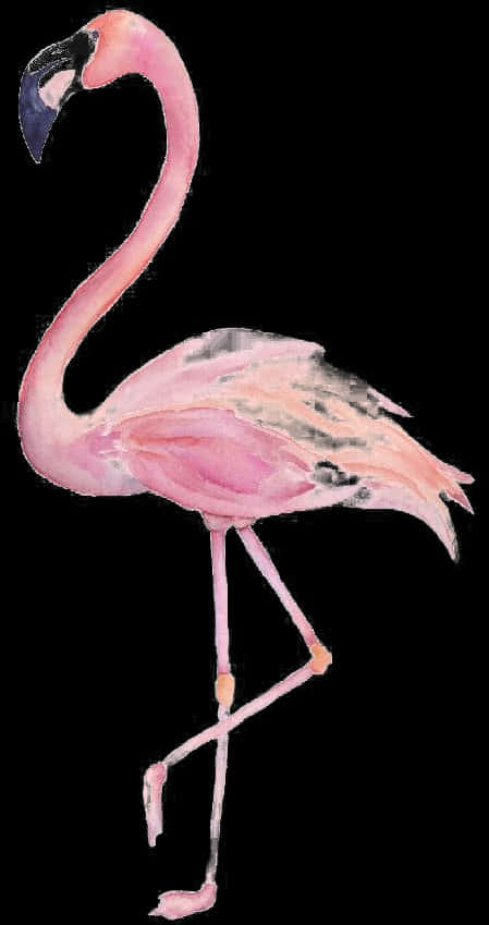 Aesthetic Light Pink Flamingo