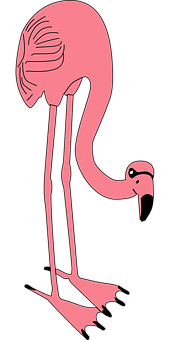 Flamingo Png 170 X 340