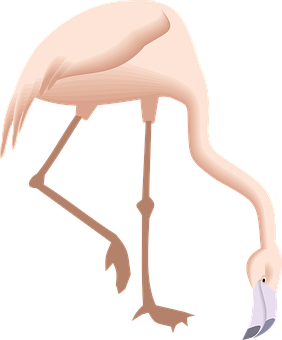 Flamingo Png 282 X 340