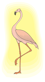 Flamingo Png 186 X 340