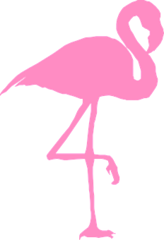 A Pink Flamingo On A Black Background