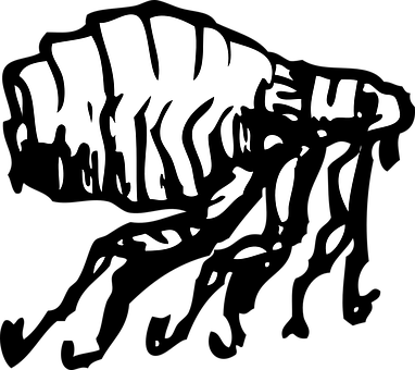 A White And Black Silhouette Of A Dinosaur