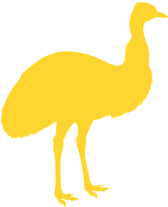 A Yellow Bird With Long Legs