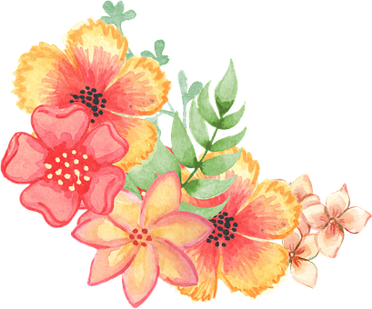 Floral Png 409 X 340
