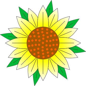 Floral Png 340 X 340